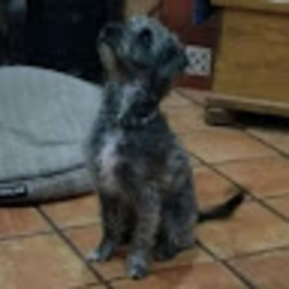 Meet your Posher, Meliton - Picture 1 of 1